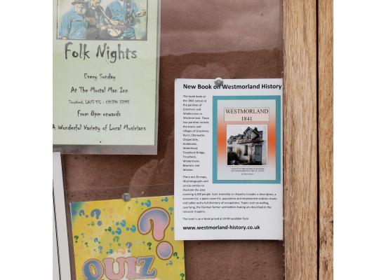 Push Pins Silver Round Head